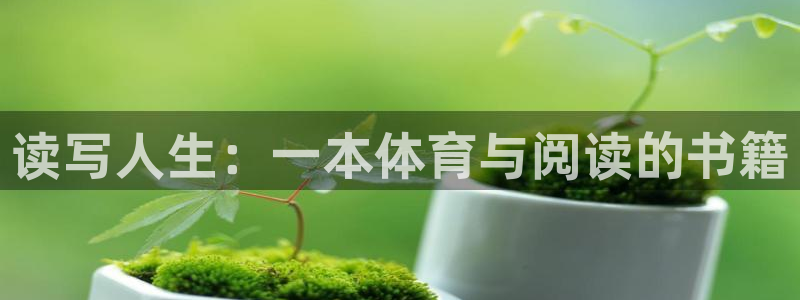 探球体育app