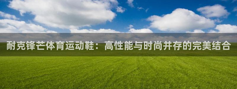 探球体育比分即时比分