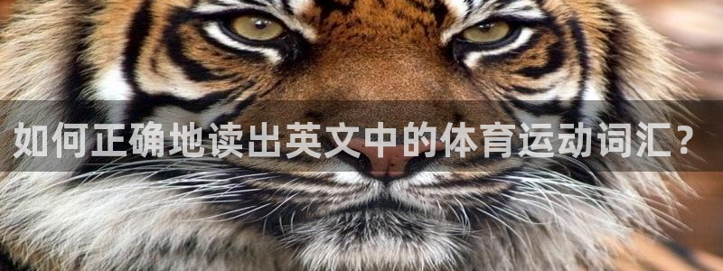 探球体育：如何正确地读出英文中的体育运动词汇？