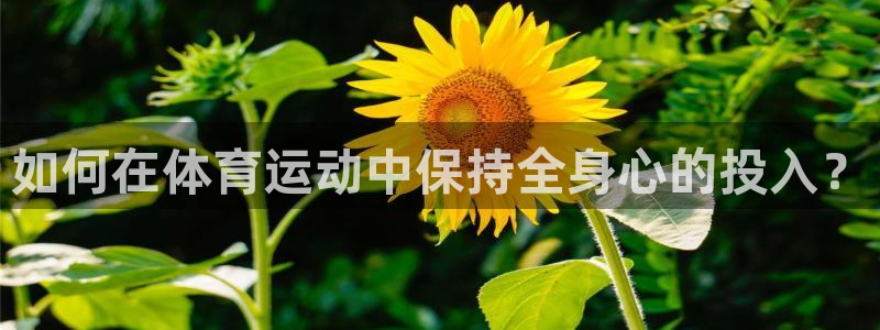 探球体育app官网下载：如何在体育运动中保持全身心的投入？