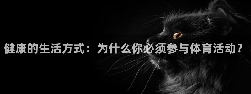 探球体育即时比分