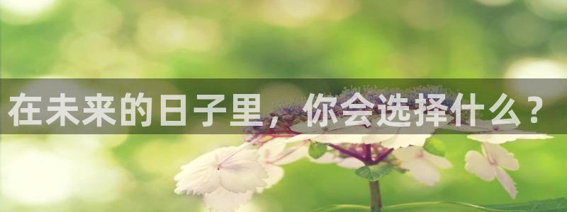探球体育：在未来的日子里，你会选择什么？