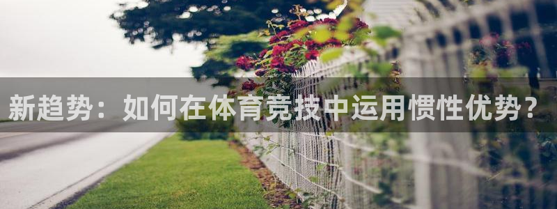 探球体育