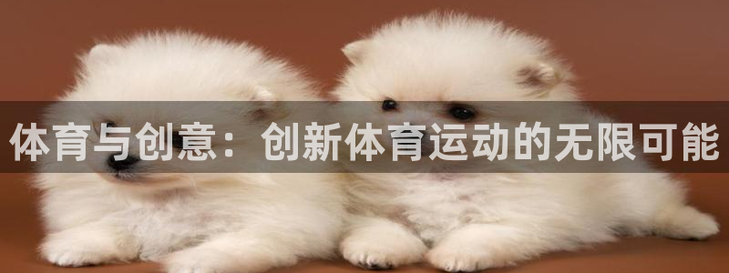 探球体育比分