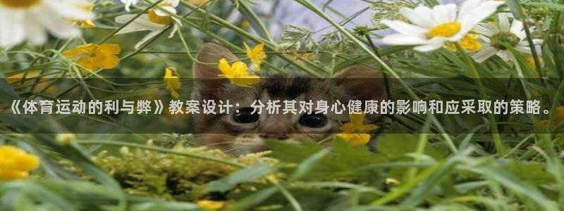 关键词