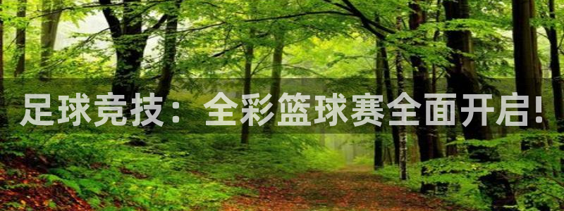 探球体育