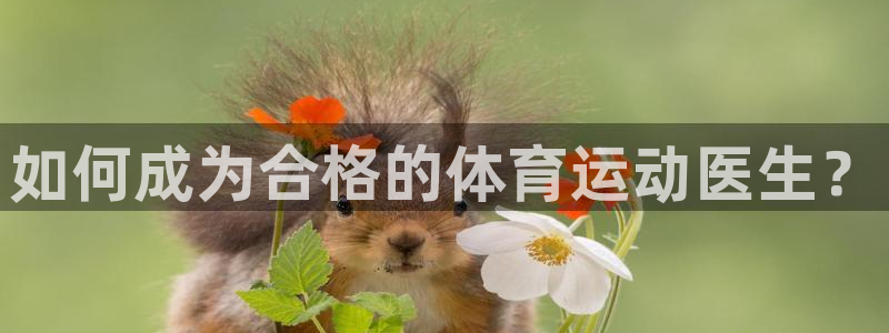 探球体育比分