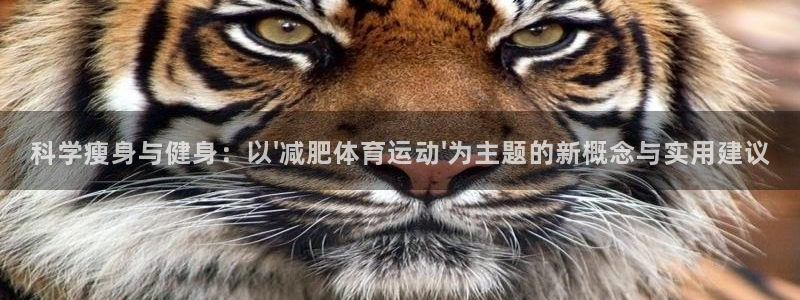 探球体育足球即时比分