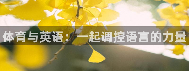 探球体育app官网下载