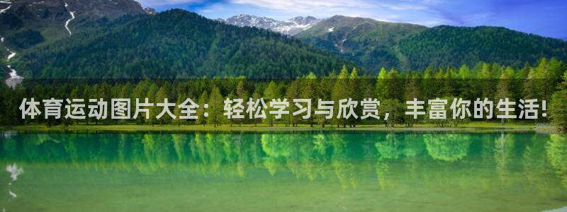 探球体育