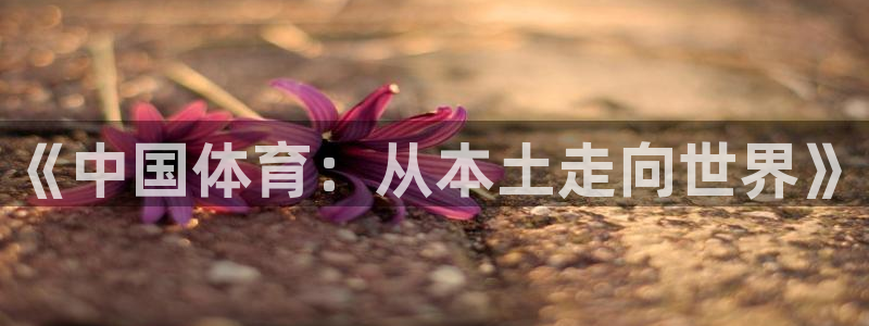 探球体育app