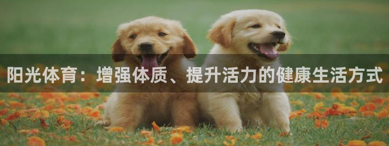 探球体育即时比分：阳光体育：增强体质、提升活力的健康生活方式